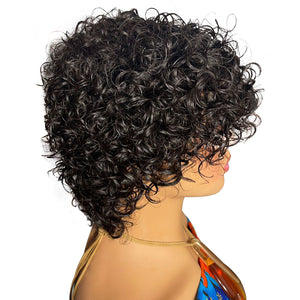 Pixie Cut Wig Human Hair Short Curly