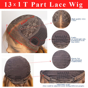 Highlight Wig Human Hair Ombre Lace Front