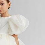 Load image into Gallery viewer, Vintage Dress Tulle
