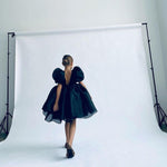 Load image into Gallery viewer, Vintage Dress Tulle
