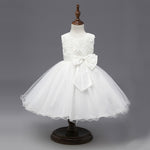 Load image into Gallery viewer, Girl Tutu Dress
