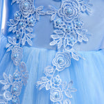 Load image into Gallery viewer, Embroidery Silk Princess Dress
